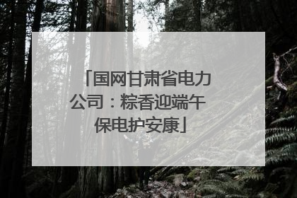 国网甘肃省电力公司：粽香迎端午 保电护安康