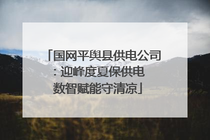 国网平舆县供电公司：迎峰度夏保供电  数智赋能守清凉