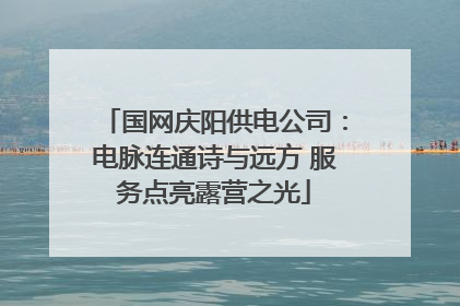 国网庆阳供电公司：电脉连通诗与远方 服务点亮露营之光