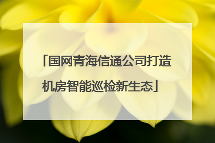 国网青海信通公司打造机房智能巡检新生态