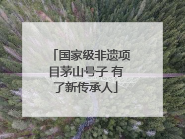 国家级非遗项目茅山号子 有了新传承人