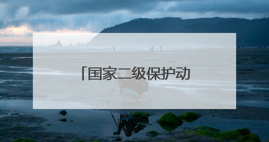 国家二级保护动物，在南昌获救
