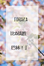 国足1比0战胜巴林！