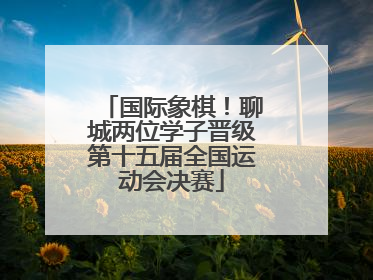 国际象棋！聊城两位学子晋级第十五届全国运动会决赛