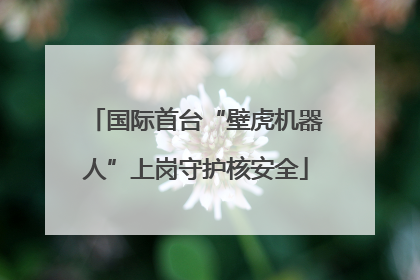 国际首台“壁虎机器人”上岗守护核安全