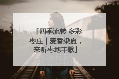 四季流转 多彩枣庄｜麦香染夏，来听枣地丰歌
