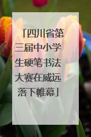 四川省第三届中小学生硬笔书法大赛在威远落下帷幕