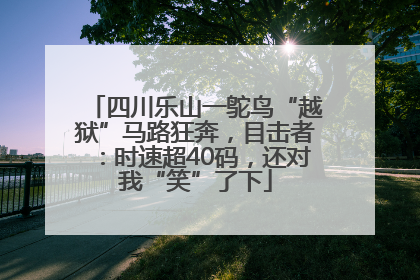 四川乐山一鸵鸟“越狱”马路狂奔，目击者：时速超40码，还对我“笑”了下