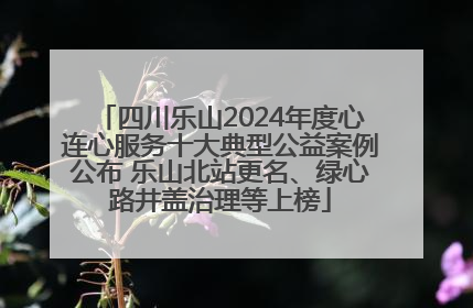 四川乐山2024年度心连心服务十大典型公益案例公布 乐山北站更名、绿心路井盖治理等上榜