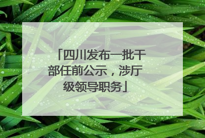 四川发布一批干部任前公示，涉厅级领导职务