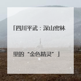 四川平武：深山密林里的“金色精灵”