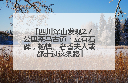 四川深山发现2.7公里茶马古道：立有石碑，杨慎、奢香夫人或都走过这条路