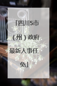 四川5市（州）政府最新人事任免