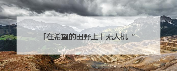 在希望的田野上丨无人机“巡诊”、传感器“把脉” 解锁田间地头的丰收密码
