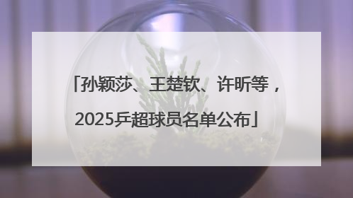 孙颖莎、王楚钦、许昕等，2025乒超球员名单公布