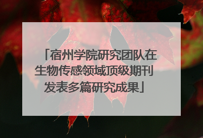 宿州学院研究团队在生物传感领域顶级期刊发表多篇研究成果