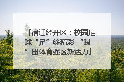 宿迁经开区：校园足球“足”够精彩 “踢”出体育强区新活力