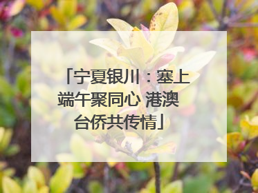 宁夏银川：塞上端午聚同心 港澳台侨共传情