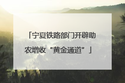 宁夏铁路部门开辟助农增收“黄金通道”