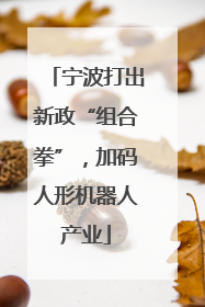 宁波打出新政“组合拳”，加码人形机器人产业