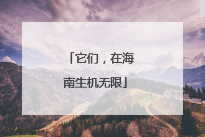 它们，在海南生机无限