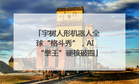 宇树人形机器人全球“格斗秀”，AI“拳王”硬核破圈