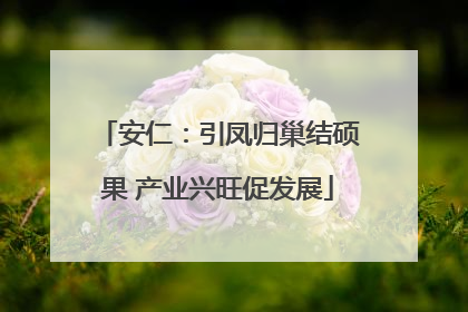 安仁：引凤归巢结硕果 产业兴旺促发展