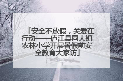 安全不放假，关爱在行动——庐江县同大镇农林小学开展暑假前安全教育大家访
