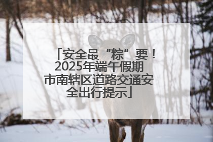 安全最“粽”要！2025年端午假期市南辖区道路交通安全出行提示