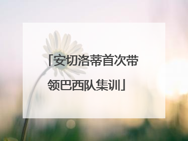 安切洛蒂首次带领巴西队集训