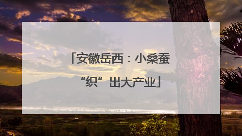 安徽岳西：小桑蚕“织”出大产业