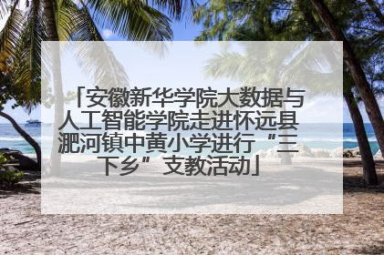 安徽新华学院大数据与人工智能学院走进怀远县淝河镇中黄小学进行“三下乡”支教活动
