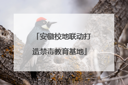 安徽校地联动打造禁毒教育基地