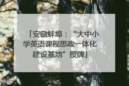 安徽蚌埠：“大中小学英语课程思政一体化建设基地”授牌