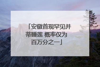 安徽首现罕见并蒂睡莲 概率仅为百万分之一
