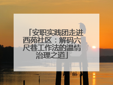 安职实践团走进西苑社区：解码六尺巷工作法的温情治理之道