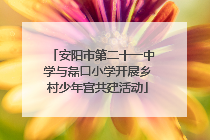 安阳市第二十一中学与磊口小学开展乡村少年宫共建活动