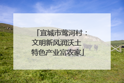 宜城市莺河村：文明新风润沃土 特色产业富农家