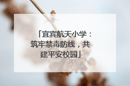 宜宾航天小学：筑牢禁毒防线，共建平安校园