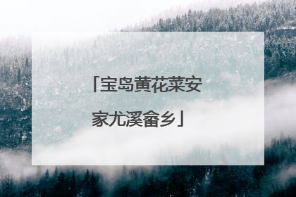 宝岛黄花菜安家尤溪畲乡