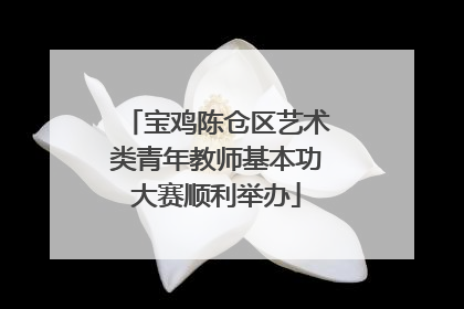 宝鸡陈仓区艺术类青年教师基本功大赛顺利举办