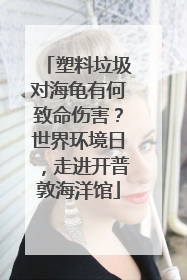 塑料垃圾对海龟有何致命伤害？世界环境日，走进开普敦海洋馆