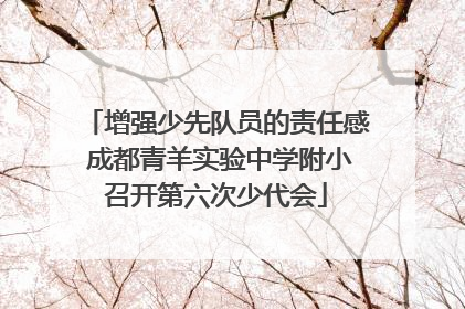 增强少先队员的责任感 成都青羊实验中学附小召开第六次少代会