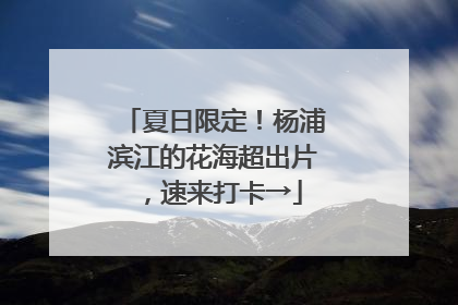 夏日限定！杨浦滨江的花海超出片，速来打卡→
