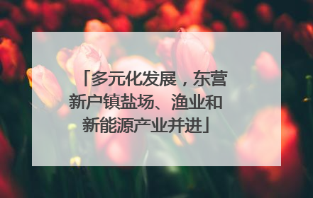 多元化发展，东营新户镇盐场、渔业和新能源产业并进