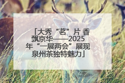 大秀“茗”片 香飘京华——2025年“一展两会”展现泉州茶独特魅力