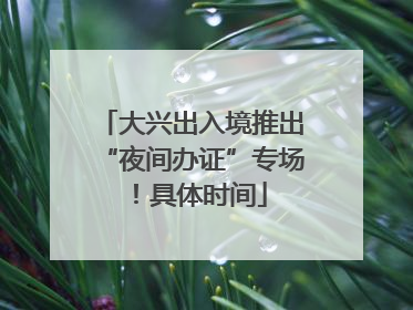 大兴出入境推出“夜间办证”专场！具体时间