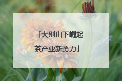大别山下崛起茶产业新势力