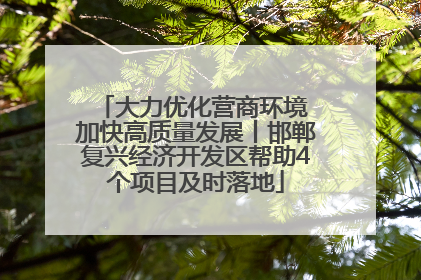 大力优化营商环境 加快高质量发展丨邯郸复兴经济开发区帮助4个项目及时落地