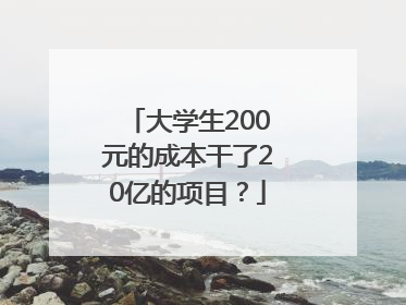 大学生200元的成本干了20亿的项目？